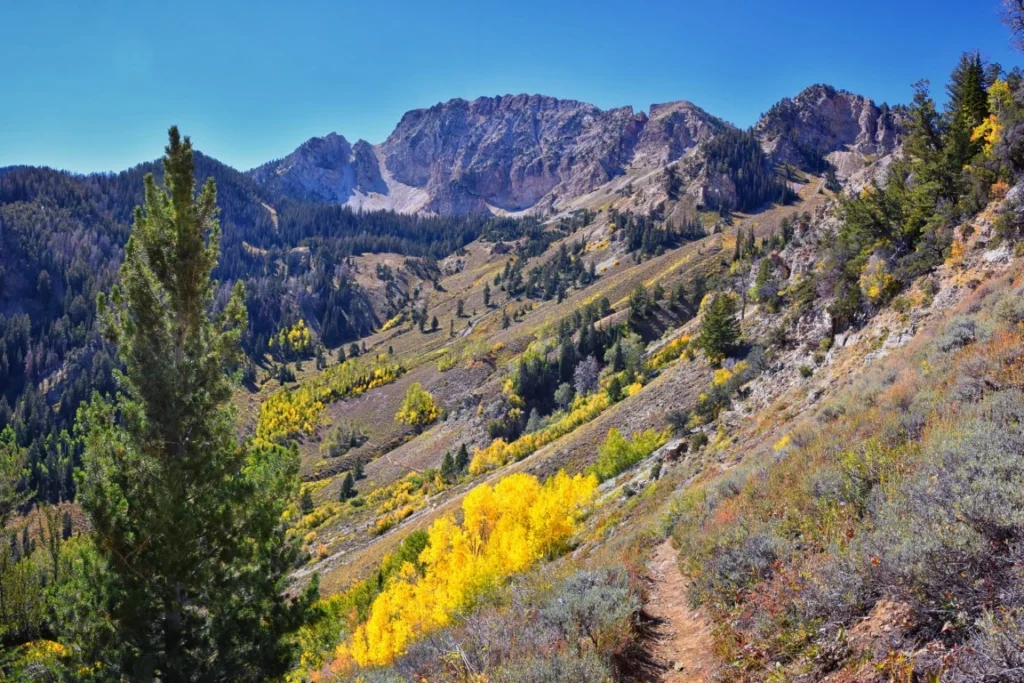 10 Reasons Why New Construction in Grantsville is the Best Alternative to Salt Lake City Prices